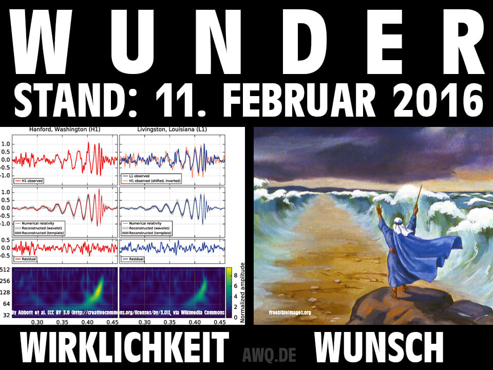 Wunder, Stand: 11. Februar 2016