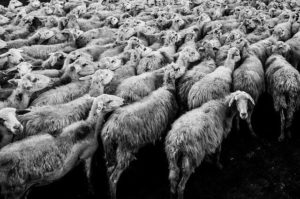Kommentar zu: Pastoral vor Ort lebendig gestalten – Bistumsleitung im Gespräch mit Katholikenrat, Priesterrat und Dechantenvertretern