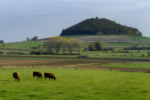 Gehilfersberg - Foto: privat