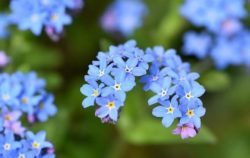Niemals vergessen – Wort zum Wort zum Sonntag