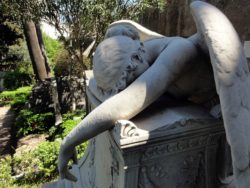 Engel… Gedanken zu Nachgedacht… (237)