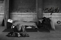 Gedanken zu „Der reiche Mann und Lazarus:“ – „Jeder ist unser Nächster“ – 30. Sargenzeller Früchteteppich eröffnet