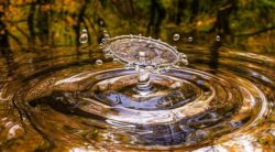 Welche Gründe sprechen denn eigentlich für Naturalismus?