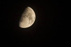 Zunehmender Mond: Mainpost-Artikel rät von Operationen ab