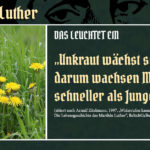 Wer ist Luther? (24) – Das leuchtet ein