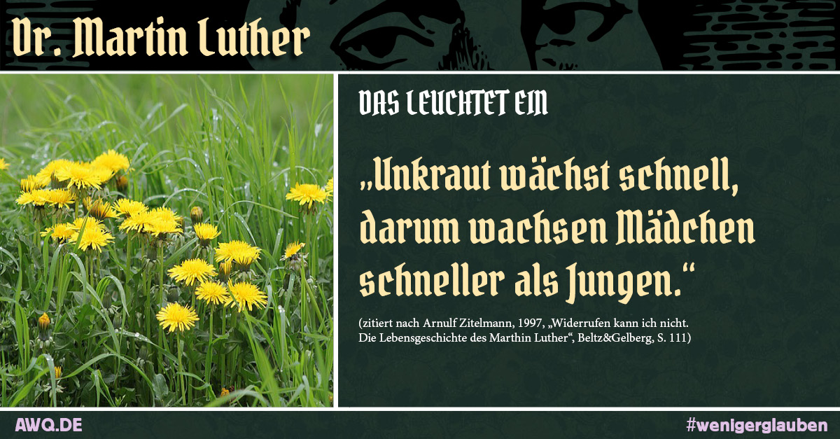 Luther Zitat