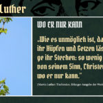 Wer ist Luther? (5) – Wo er nur kann