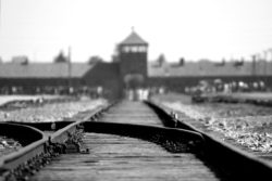 Gedanken zu: Impulse von Stadtpfarrer Buß: „Gedenken an Befreiung des KZ Auschwitz“