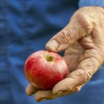 Apfelbäume im Weltuntergang – Das Wort zum Wort zum Sonntag