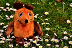 Rekordhalterin der Fragezeichen – Das Wort zum Wort zum Sonntag zur Sendung mit der Maus