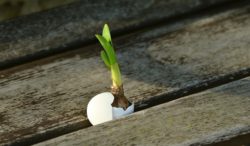 Das Schlimmste überhaupt – Das Wort zum Wort zum Sonntag