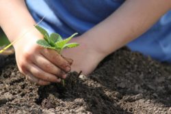 „Jenseits von Eden“ – Das Wort zum Wort zum Sonntag