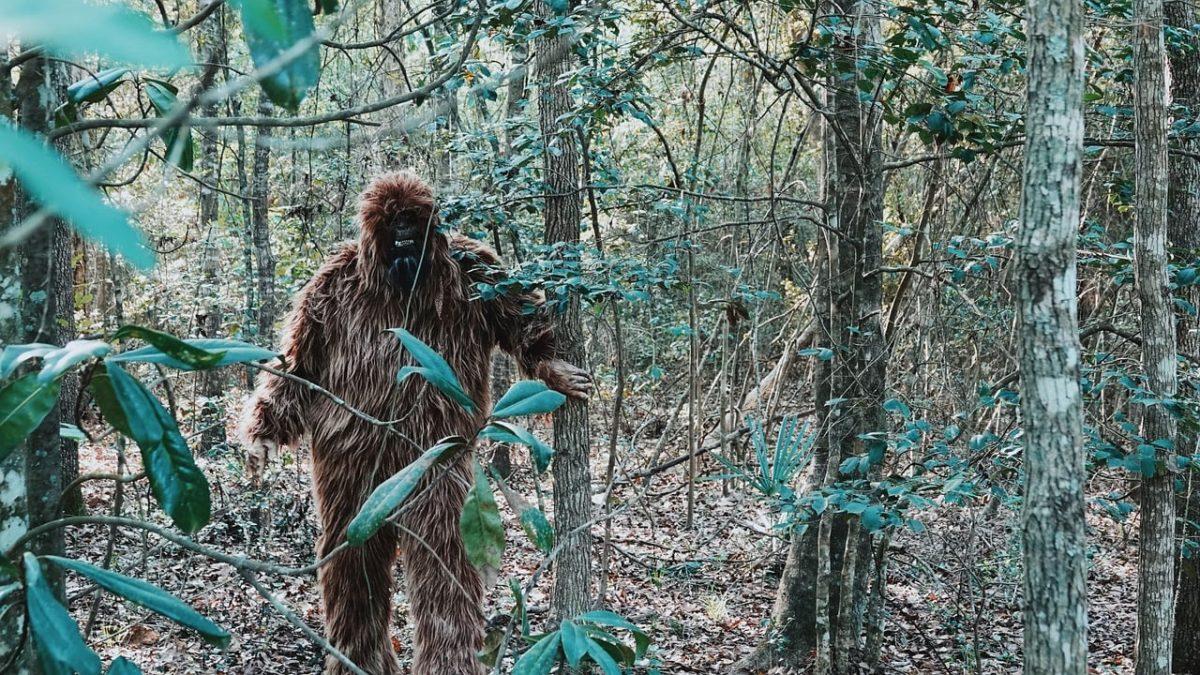 Offensiv säkular: Yeti