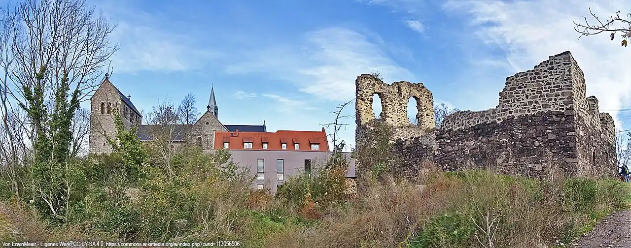 Petersberg Kloster Ruine
